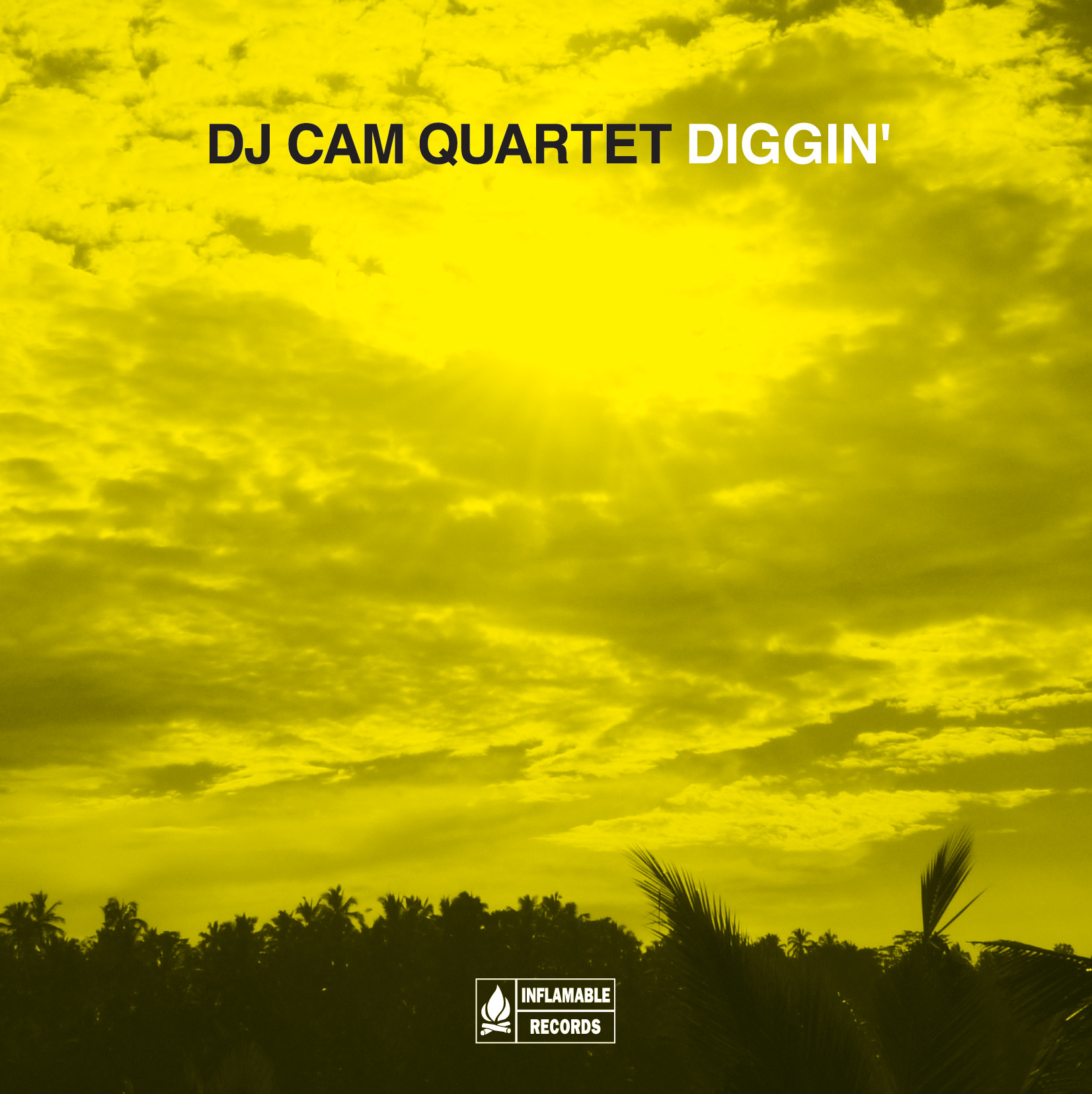 Dj Cam Quartet - You've Got To Have Freedom (Feat. Inlove)